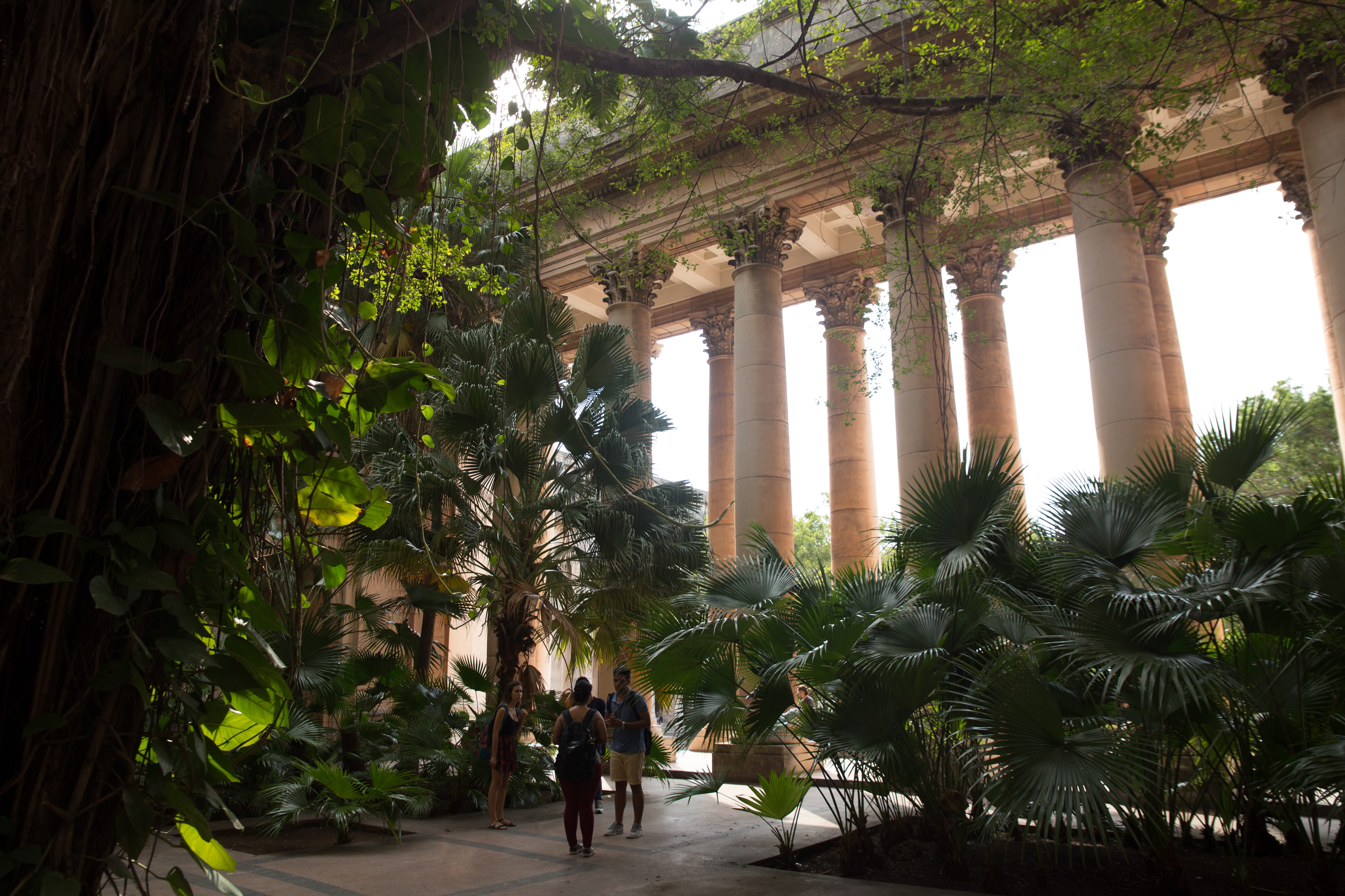 havana university